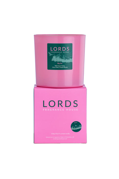 Big Sur 3 Wick Candle