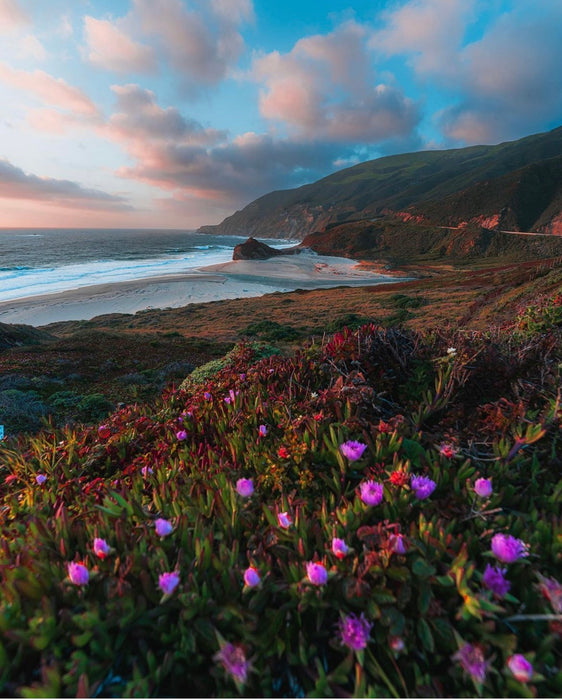 Big Sur 3 Wick Candle