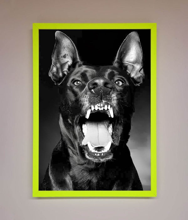 Angry Doberman Dog Framed Wall Art - Hi Society