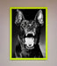 Angry Doberman Dog Framed Wall Art - Hi Society