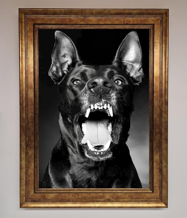 Angry Doberman Dog Framed Wall Art - Hi Society