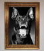 Angry Doberman Dog Framed Wall Art - Hi Society
