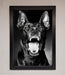 Angry Doberman Dog Framed Wall Art - Hi Society