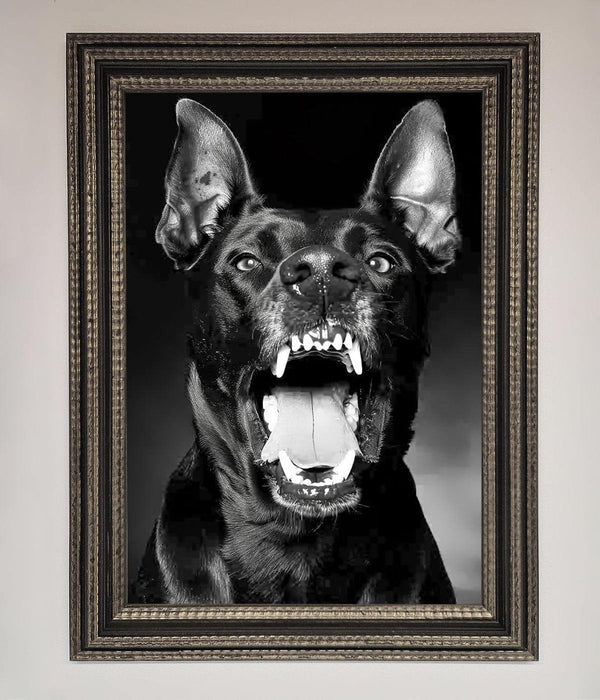 Angry Doberman Dog Framed Wall Art - Hi Society