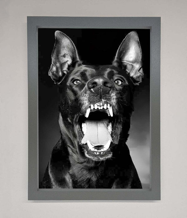 Angry Doberman Dog Framed Wall Art - Hi Society