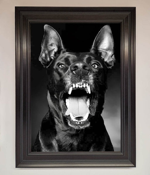 Angry Doberman Dog Framed Wall Art - Hi Society