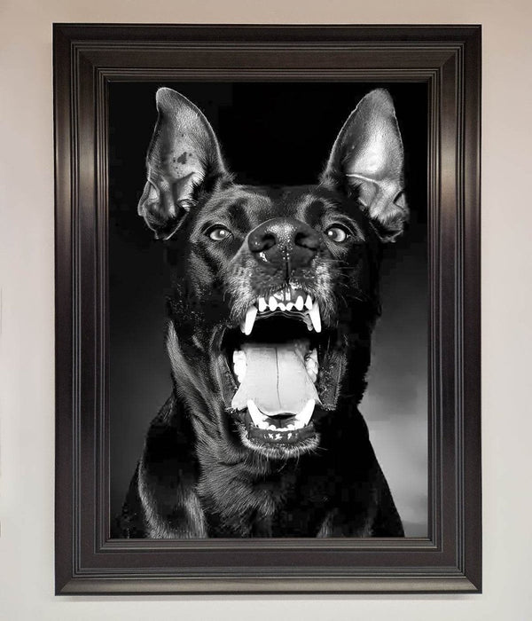 Angry Doberman Dog Framed Wall Art - Hi Society
