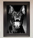 Angry Doberman Dog Framed Wall Art - Hi Society