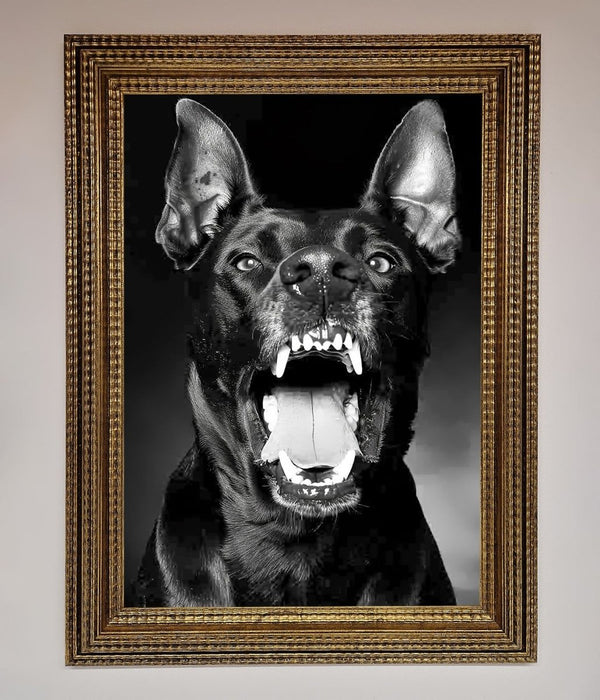 Angry Doberman Dog Framed Wall Art - Hi Society
