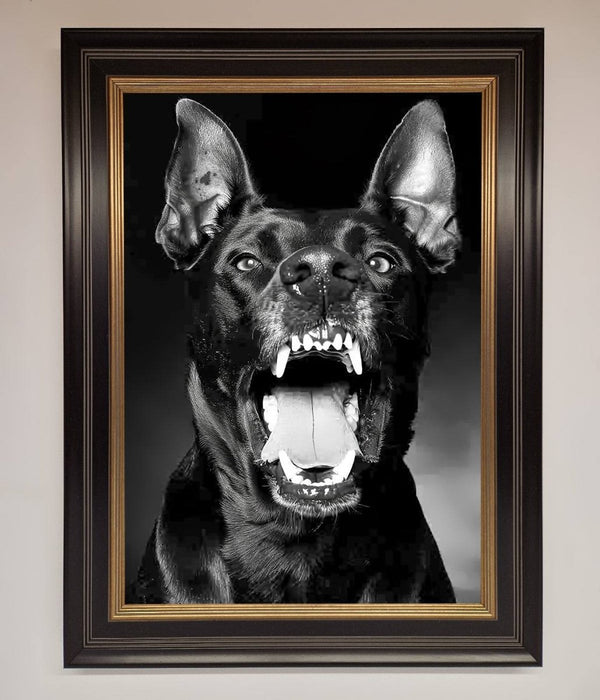 Angry Doberman Dog Framed Wall Art - Hi Society