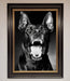 Angry Doberman Dog Framed Wall Art - Hi Society