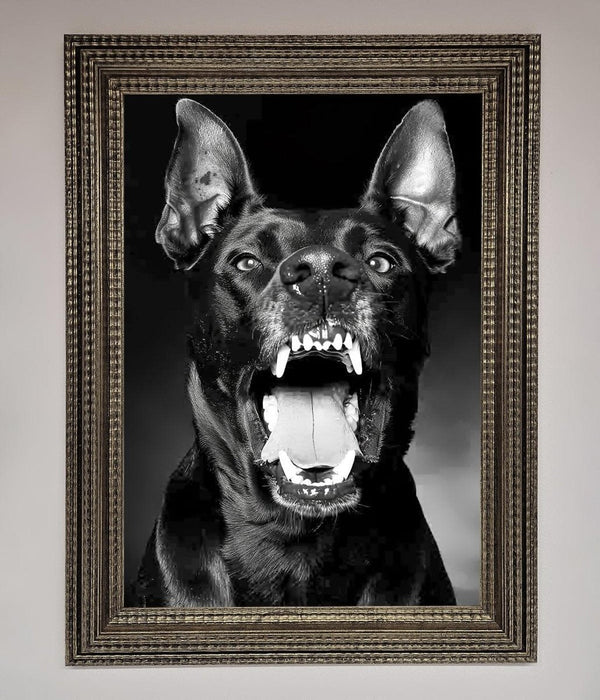 Angry Doberman Dog Framed Wall Art - Hi Society
