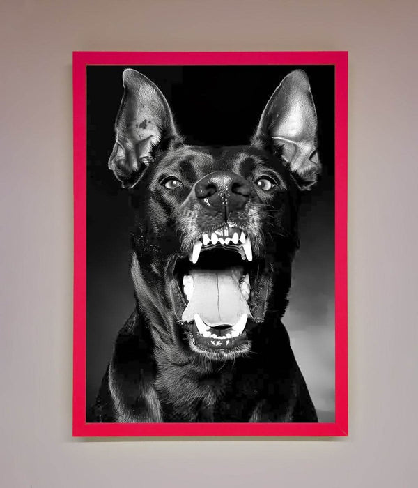 Angry Doberman Dog Framed Wall Art - Hi Society
