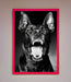 Angry Doberman Dog Framed Wall Art - Hi Society