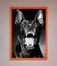 Angry Doberman Dog Framed Wall Art - Hi Society