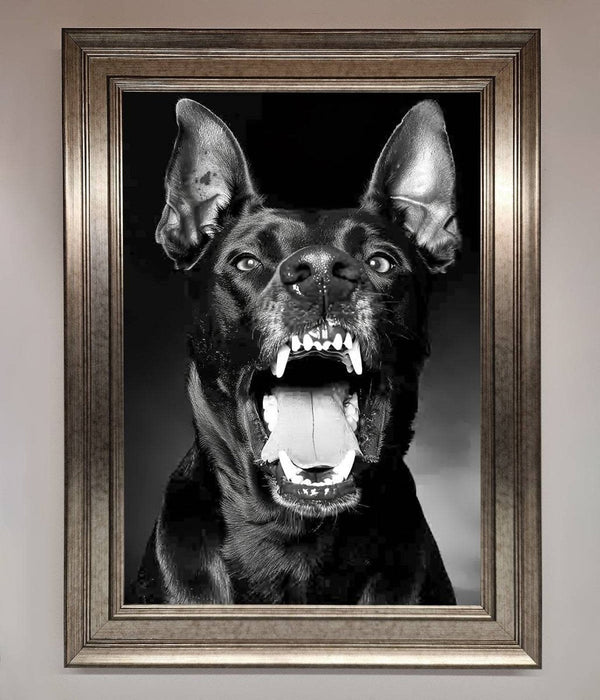 Angry Doberman Dog Framed Wall Art - Hi Society