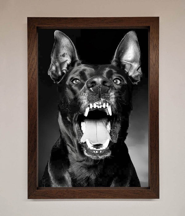 Angry Doberman Dog Framed Wall Art - Hi Society