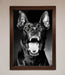 Angry Doberman Dog Framed Wall Art - Hi Society