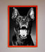 Angry Doberman Dog Framed Wall Art - Hi Society