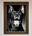 Angry Doberman Dog Framed Wall Art - Hi Society