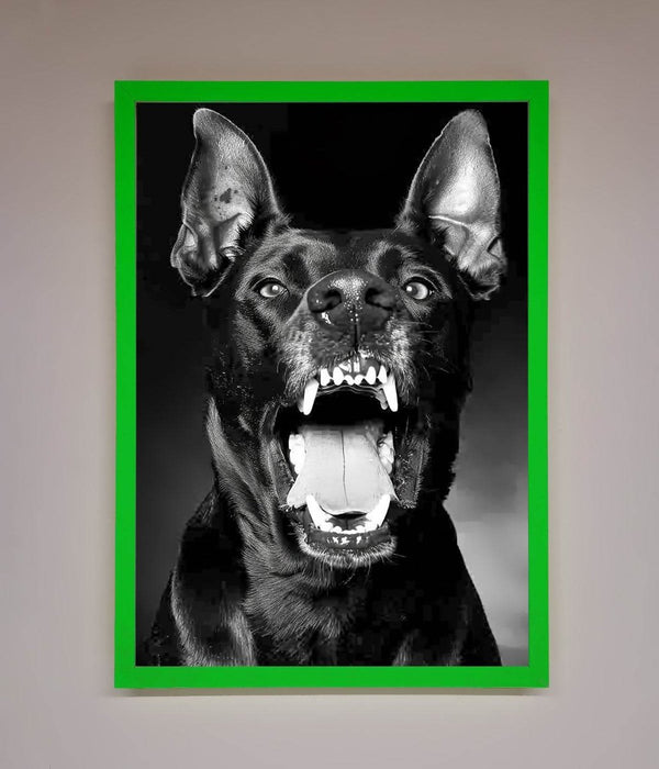 Angry Doberman Dog Framed Wall Art - Hi Society