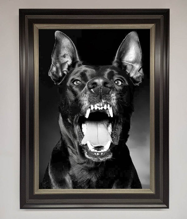 Angry Doberman Dog Framed Wall Art - Hi Society