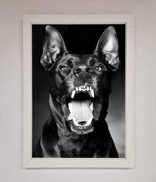 Angry Doberman Dog Framed Wall Art - Hi Society