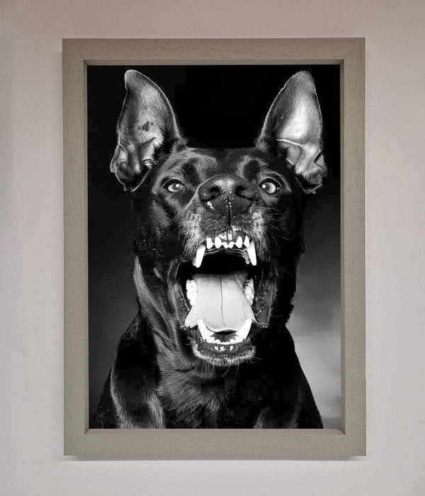 Angry Doberman Dog Framed Wall Art - Hi Society