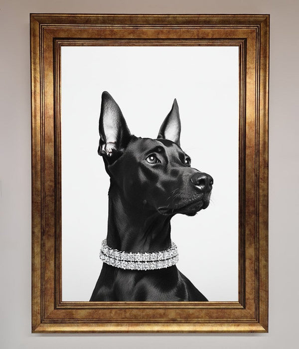 Black Doberman Diamond Neckless Framed Poster - Hi Society