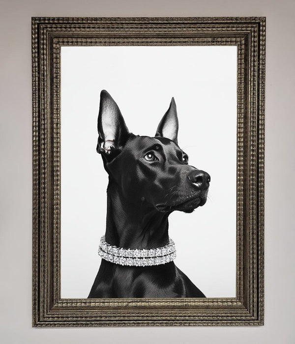 Black Doberman Diamond Neckless Framed Poster - Hi Society