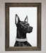 Black Doberman Diamond Neckless Framed Poster - Hi Society