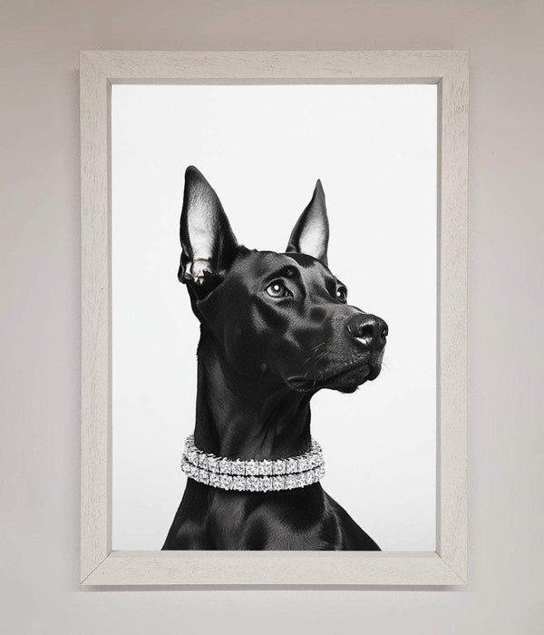 Black Doberman Diamond Neckless Framed Poster - Hi Society