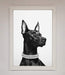 Black Doberman Diamond Neckless Framed Poster - Hi Society