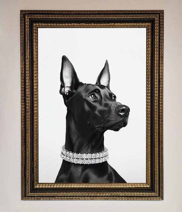 Black Doberman Diamond Neckless Framed Poster - Hi Society