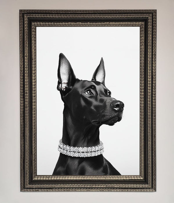 Black Doberman Diamond Neckless Framed Poster - Hi Society