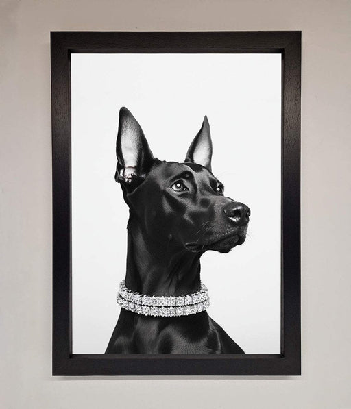 Black Doberman Diamond Neckless Framed Poster - Hi Society