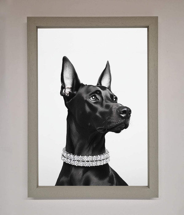 Black Doberman Diamond Neckless Framed Poster - Hi Society