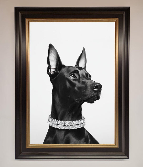 Black Doberman Diamond Neckless Framed Poster - Hi Society