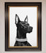 Black Doberman Diamond Neckless Framed Poster - Hi Society