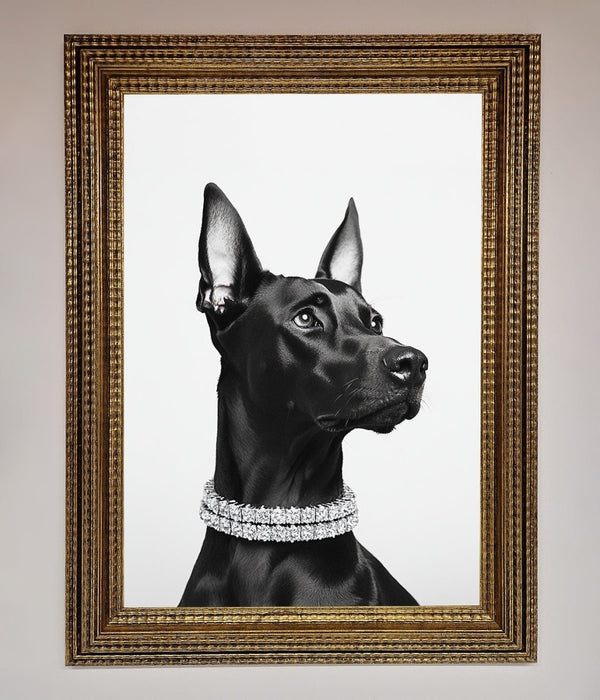 Black Doberman Diamond Neckless Framed Poster - Hi Society