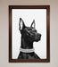 Black Doberman Diamond Neckless Framed Poster - Hi Society