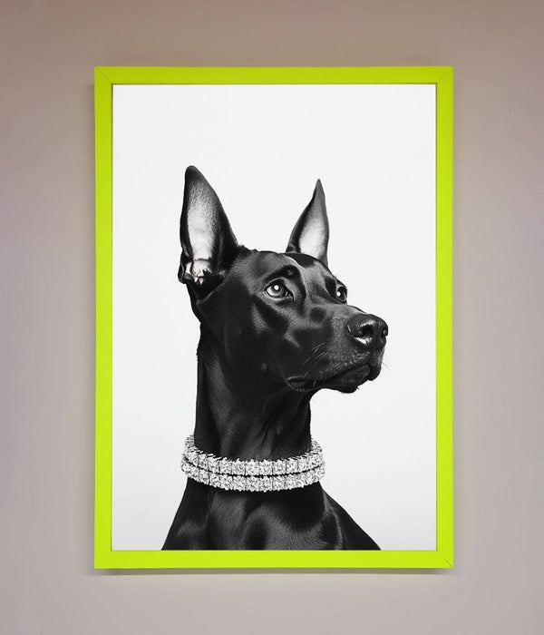 Black Doberman Diamond Neckless Framed Poster - Hi Society