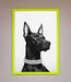 Black Doberman Diamond Neckless Framed Poster - Hi Society