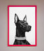 Black Doberman Diamond Neckless Framed Poster - Hi Society