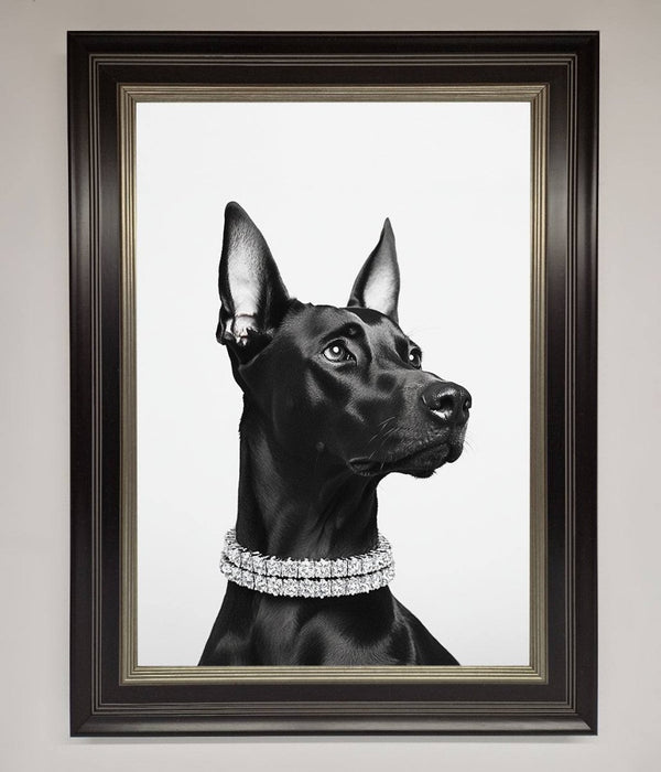 Black Doberman Diamond Neckless Framed Poster - Hi Society