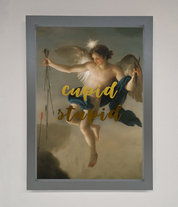 Cupid Stupid Foil Print - Hi Society