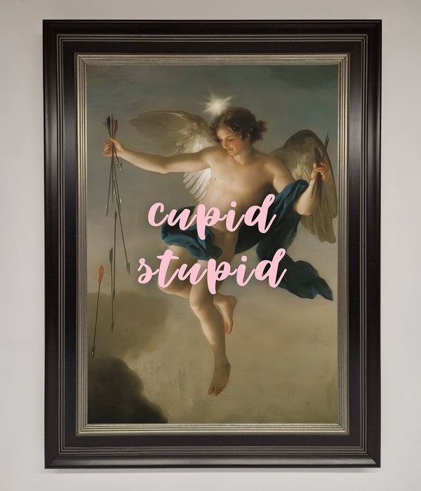 Cupid Stupid Framed Poster - Hi Society