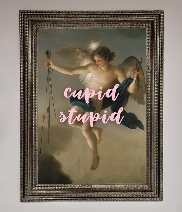 Cupid Stupid Framed Poster - Hi Society