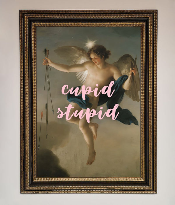 Cupid Stupid Framed Poster - Hi Society