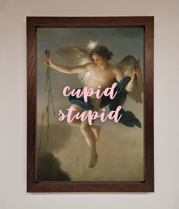 Cupid Stupid Framed Poster - Hi Society